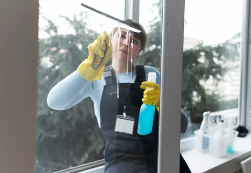 Nettoyage de vitres intérieures et extérieures à la Barthe-de-Neste